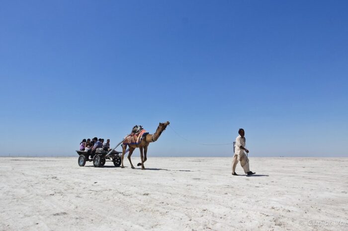 7 Day Tour of Rann of Kutch from Bhuj by Expert travel guide