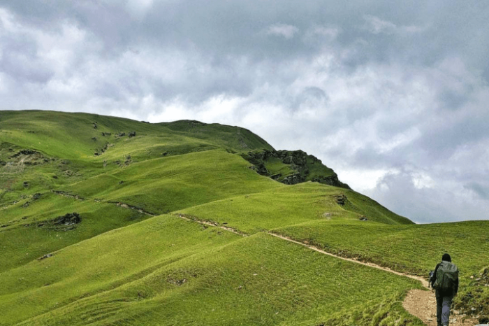 Ali Bedni Bugyal Trek by Expert travel guide