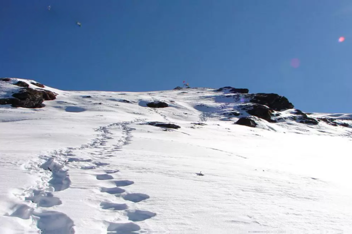 Trek to Tungnath and Chandrashila guided by Expert Travel Guide