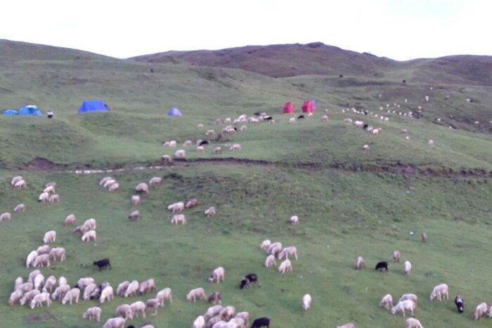 Roopkund Trek Guided by Expert Travel Guide